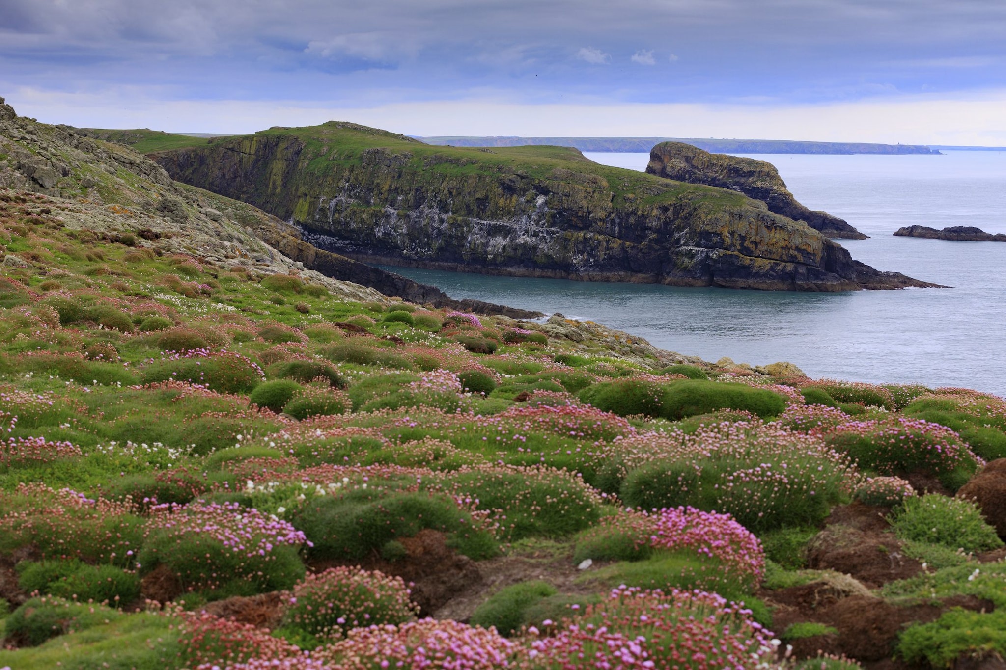 Le scogliere dell’Isola di Skomer