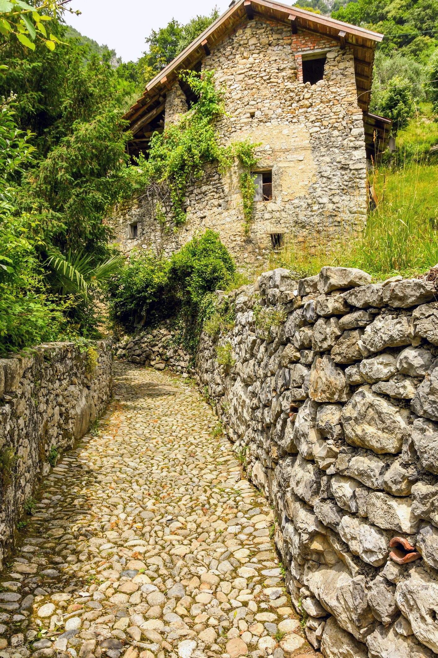 Stretto sentiero sul percorso a piedi della Greenway del Lago di Como
