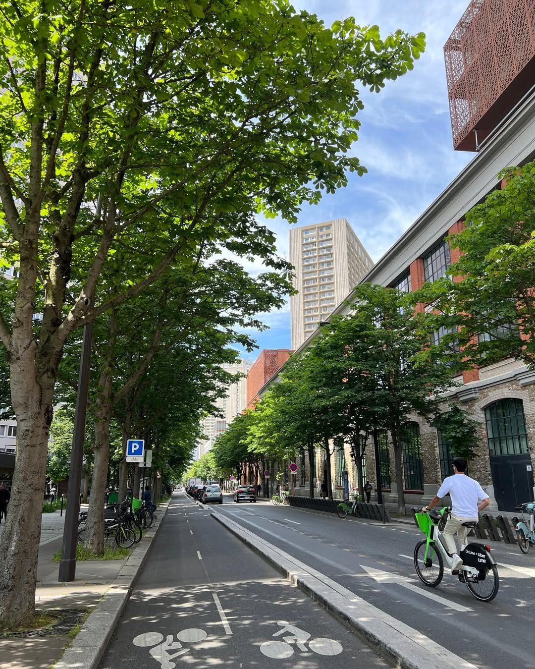 Uno dei vialoni alberati del quartiere asiatico di Parigi
