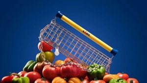 Il carrello della spesa diventa una borsa di design: la nuova it-bag di Lidl