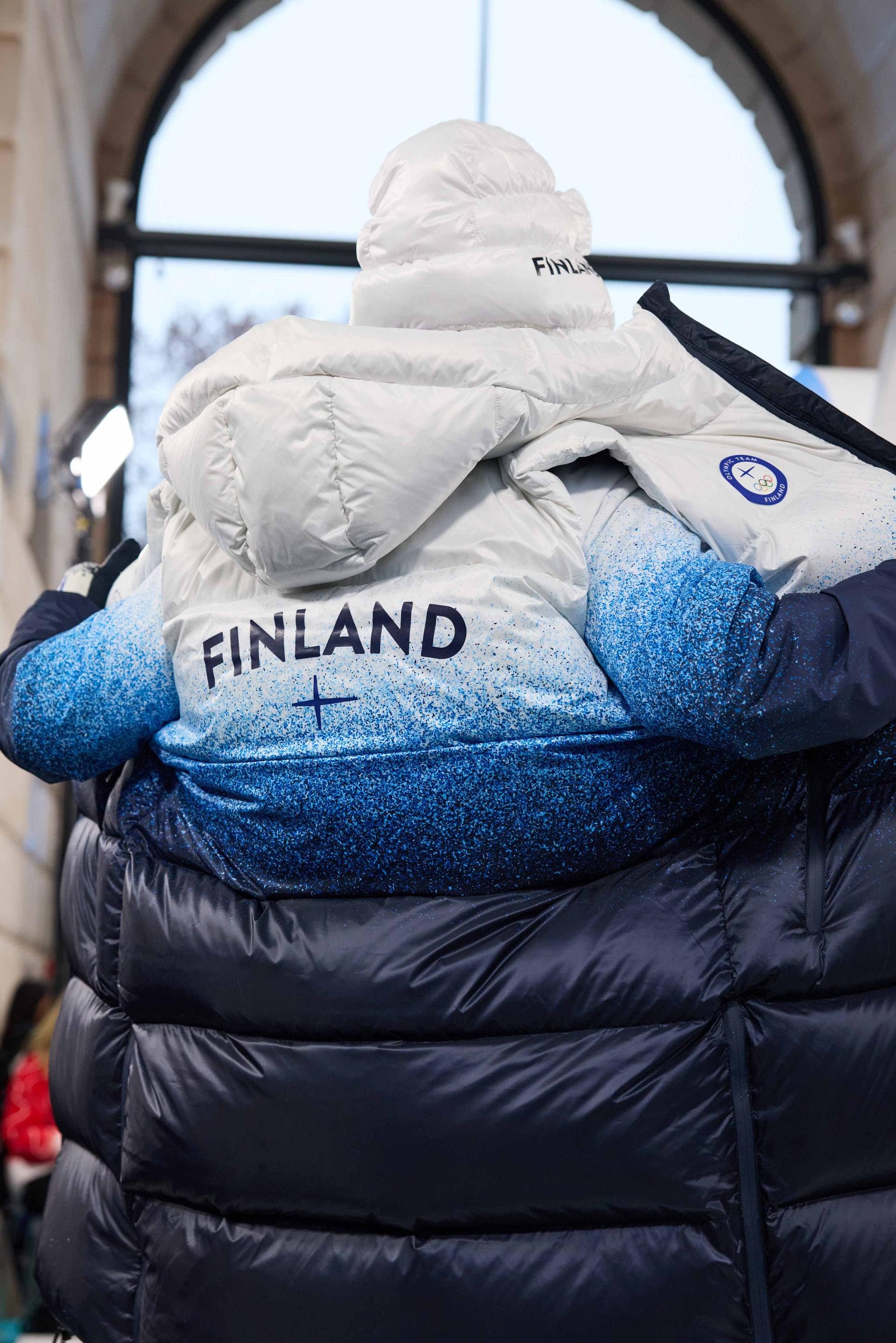 Divisa della Finlandia