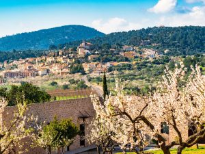 Qual è la città europea in cui si possono vedere i ciliegi in fiore (come in Giappone)