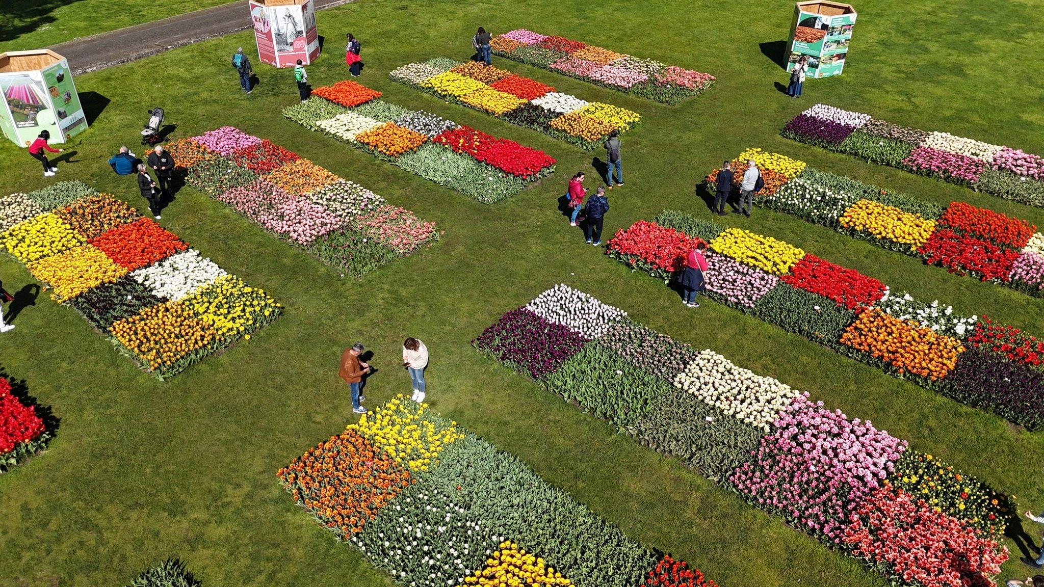 Festival Tulipanomania