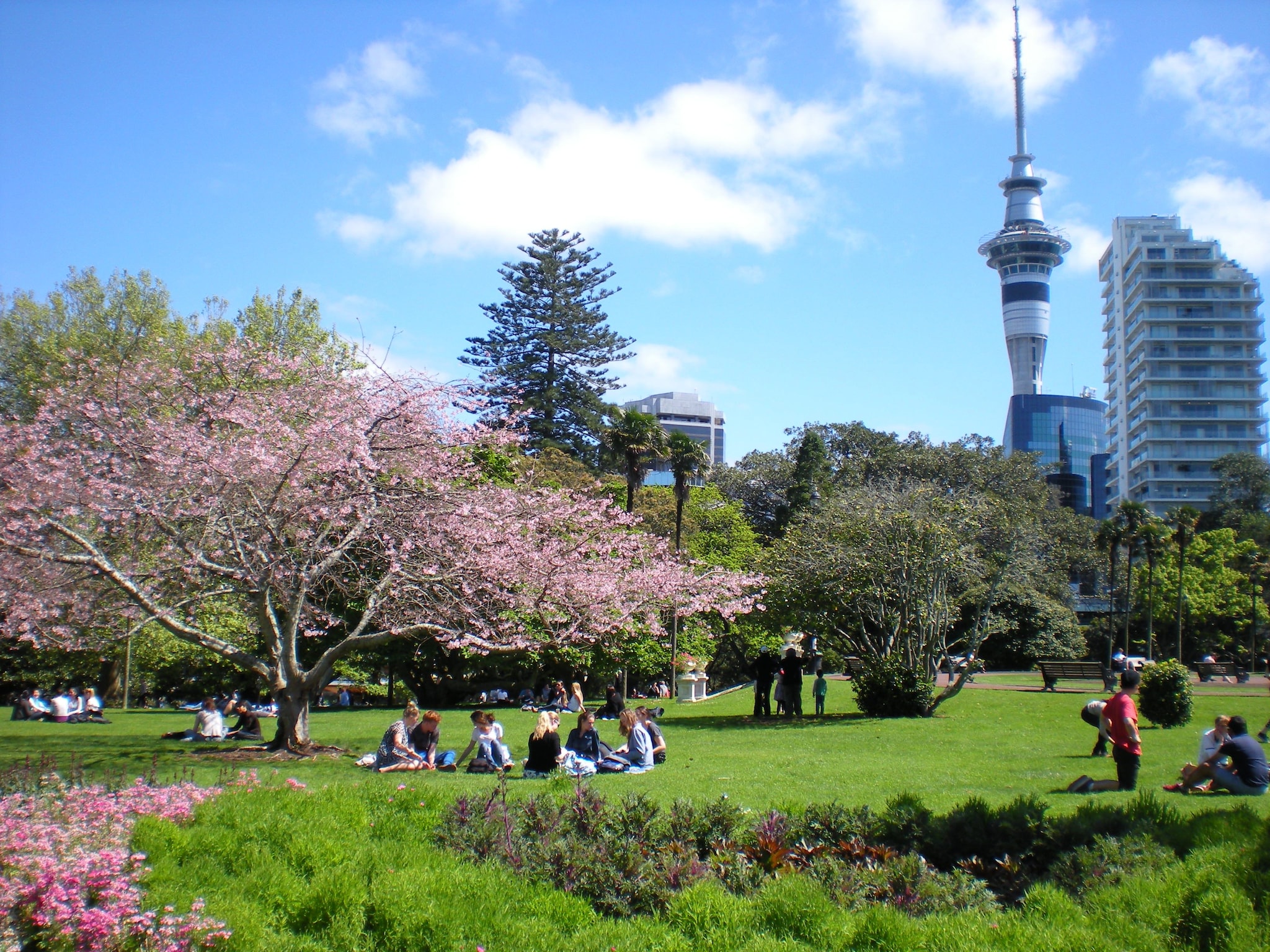 Albert Park, Auckland