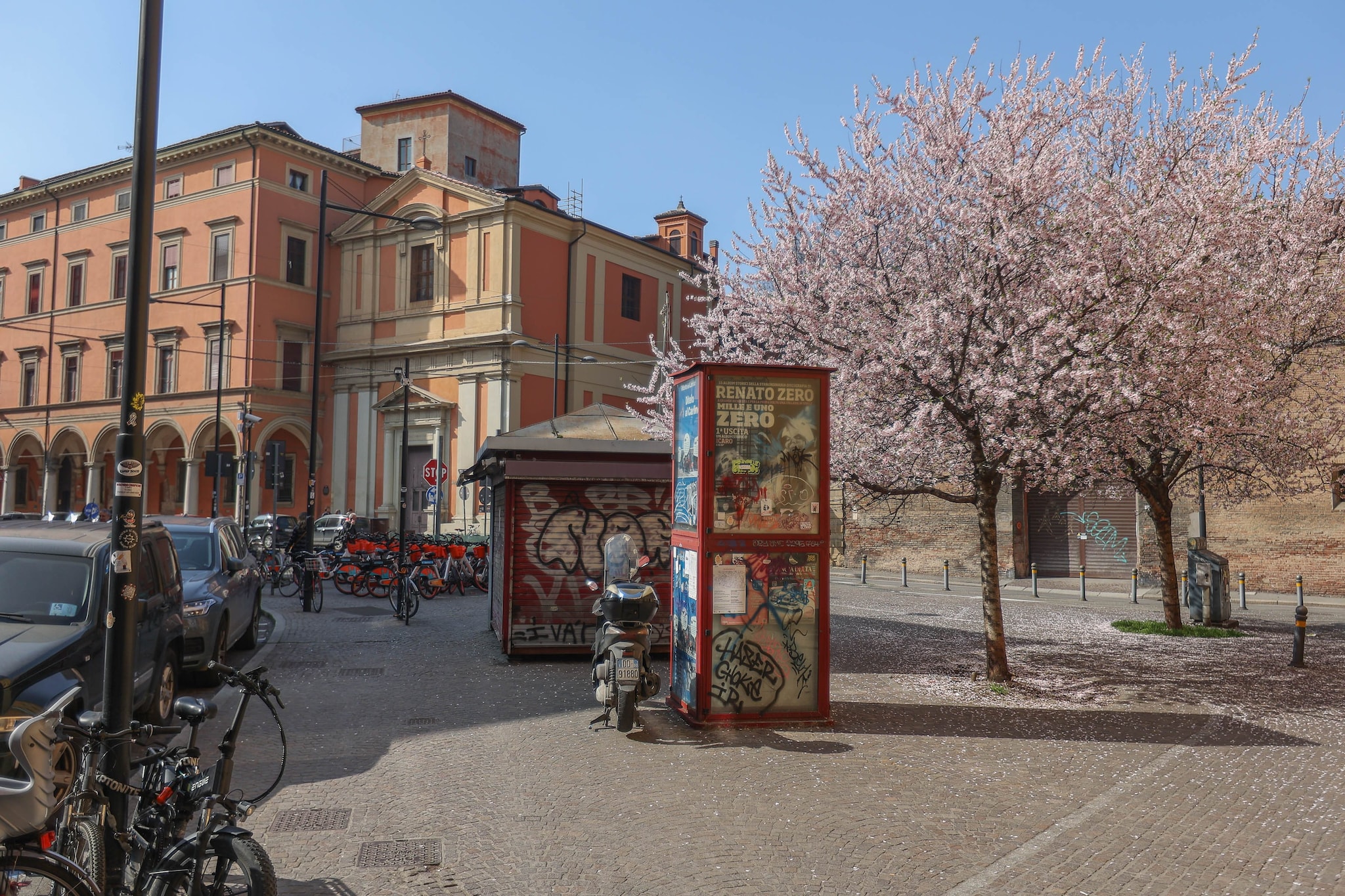 Bologna, via d’Azeglio in fioritura