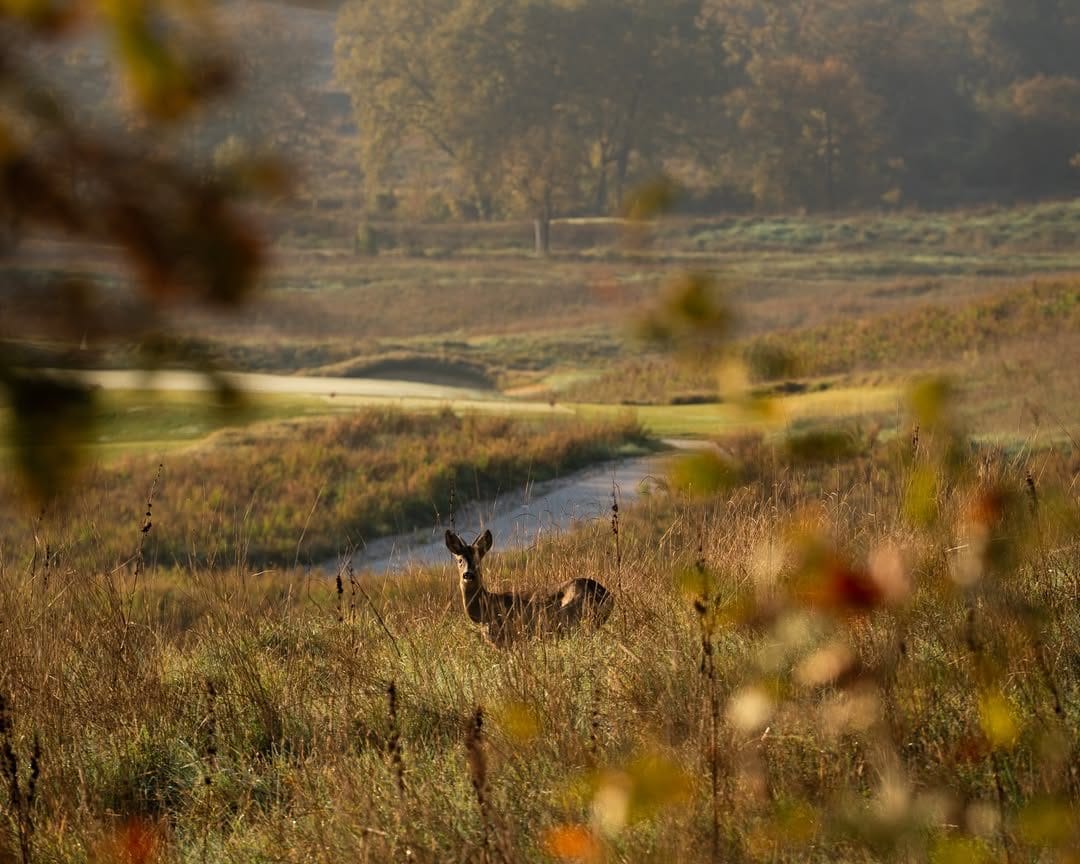 Castiglion del Bosco