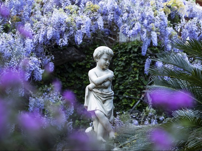 I giardini in fioritura di villa della pergola
