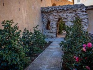 Riapre il giardino segreto delle camelie di Boboli: l’incanto di un luogo storico nel cuore di Firenze