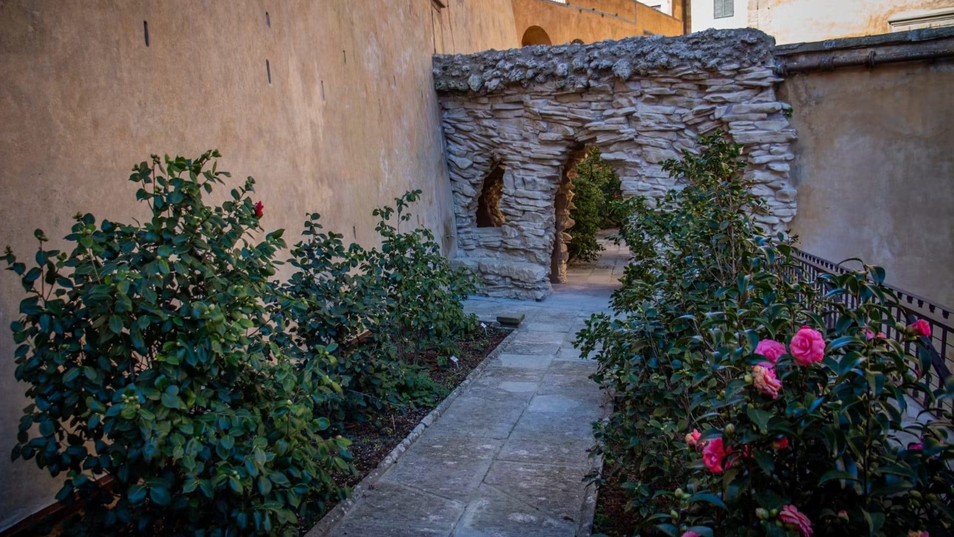 Riapre il giardino segreto delle camelie di Boboli: l'incanto di un luogo storico nel cuore di Firenze