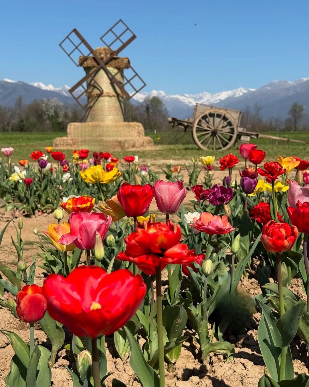 Il Villaggio dei Tulipani a Favria