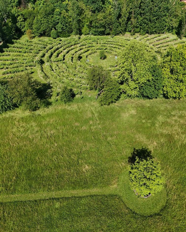 Il labirinto di rose