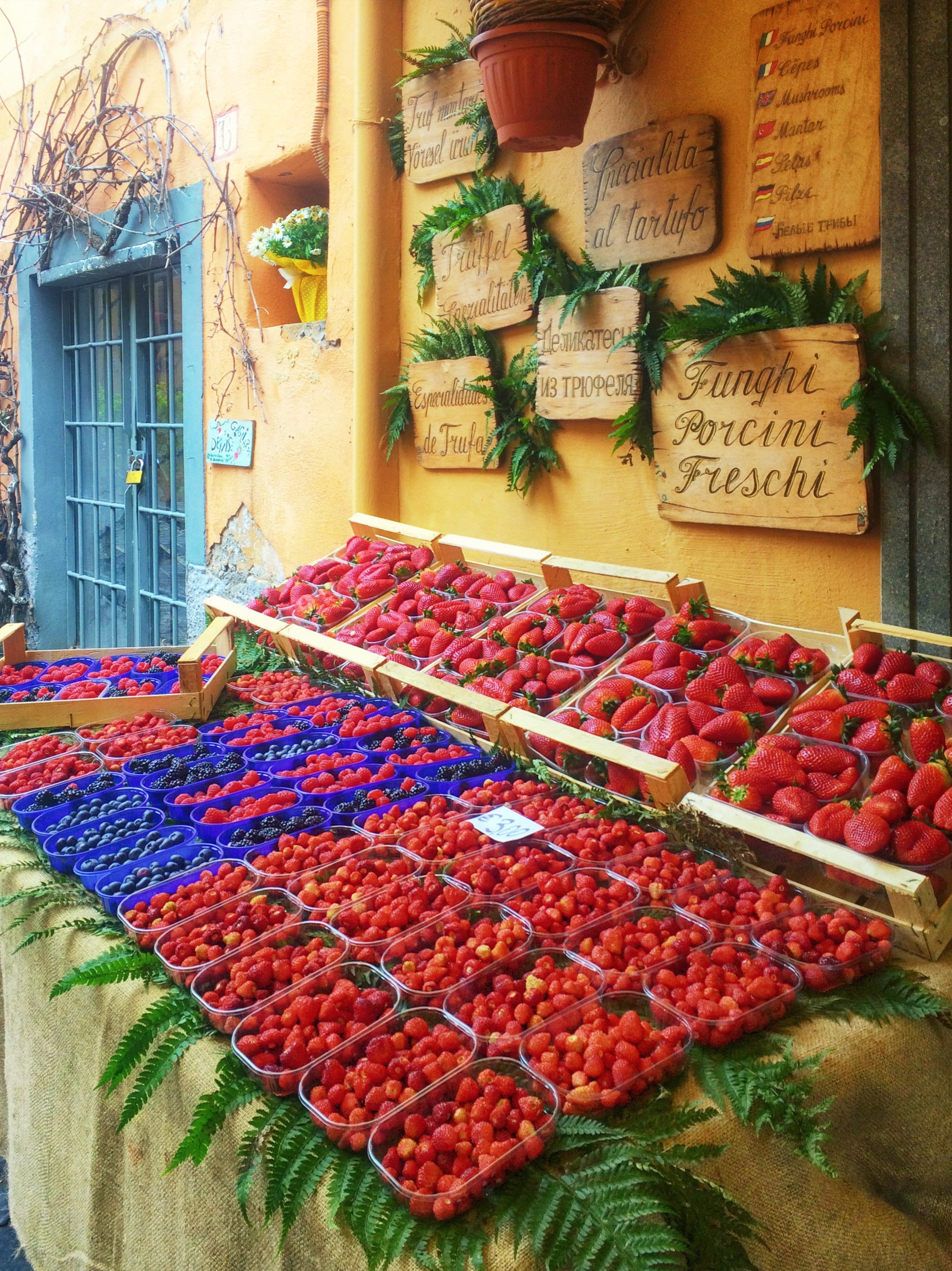 Le fragole di Nemi, Lazio