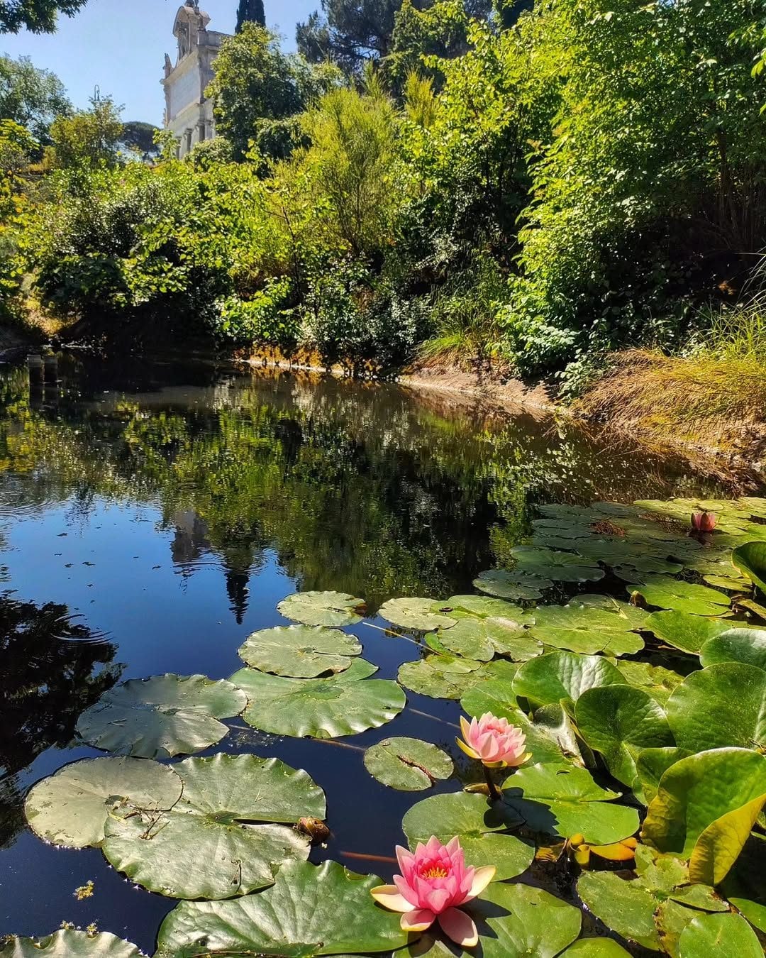 Orto Botanico di Roma in primavera