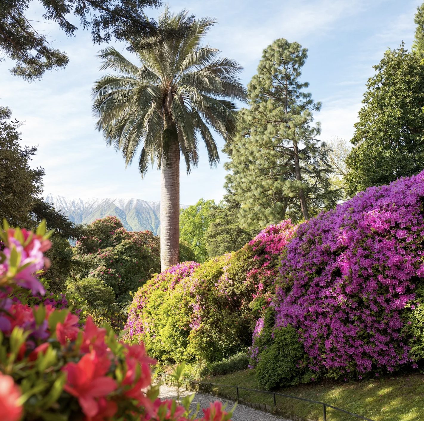 Il giardino botanico