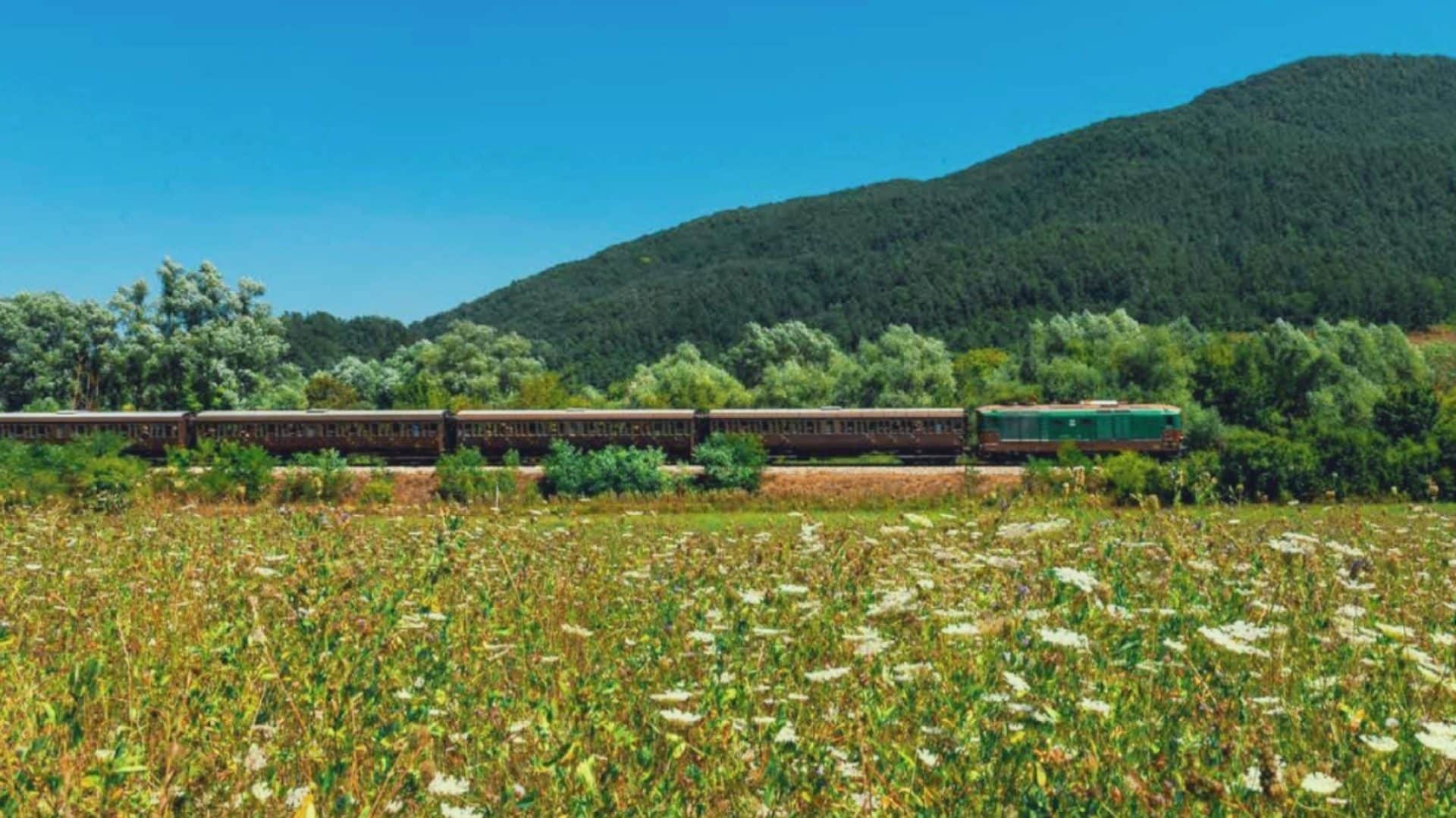 Treni di Primavera 2026 sulla Transiberiana d'Italia: partenze in calendario, tratte e costi dei viaggi