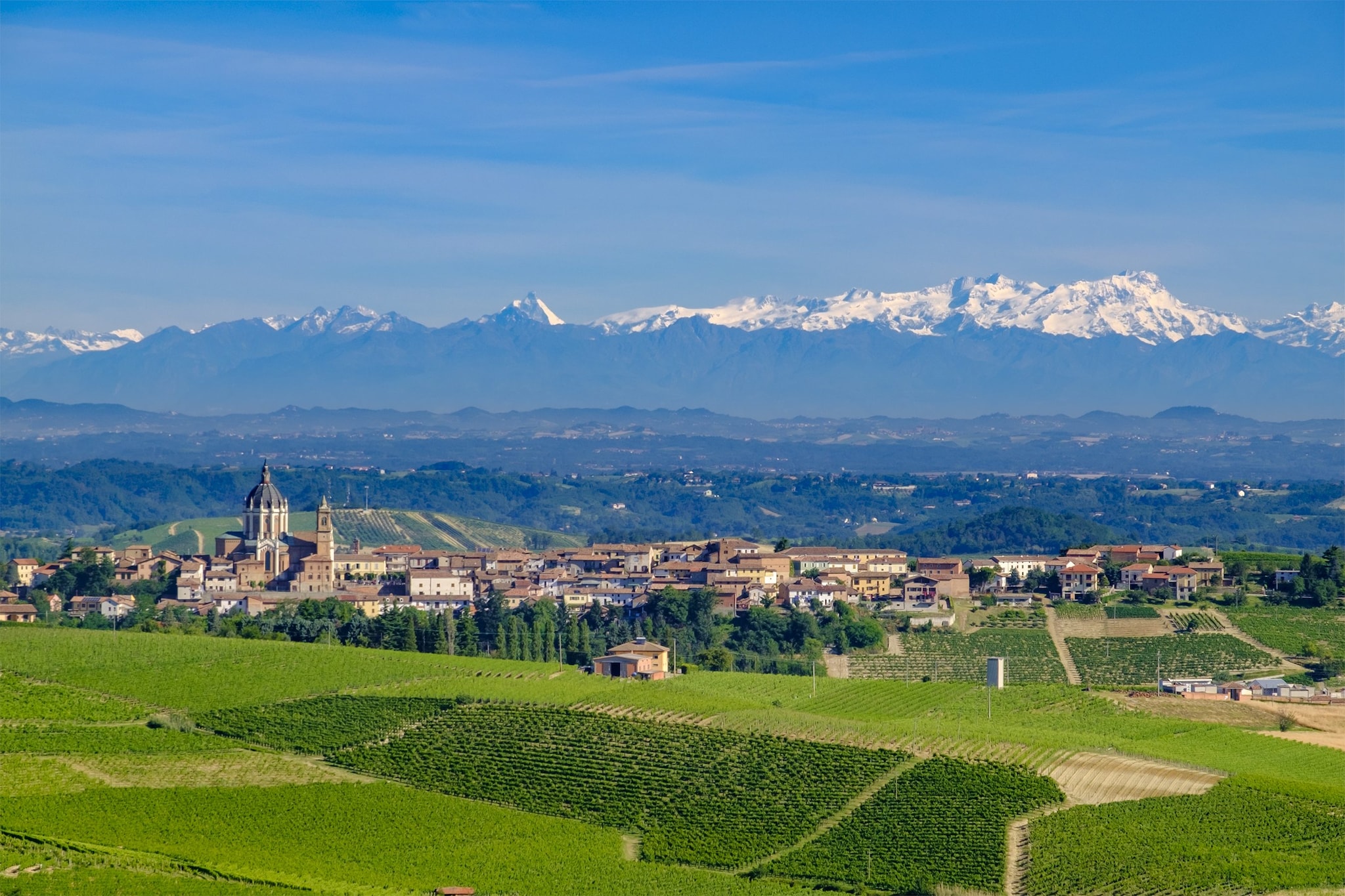 Vigneti nella regione del Monferrato