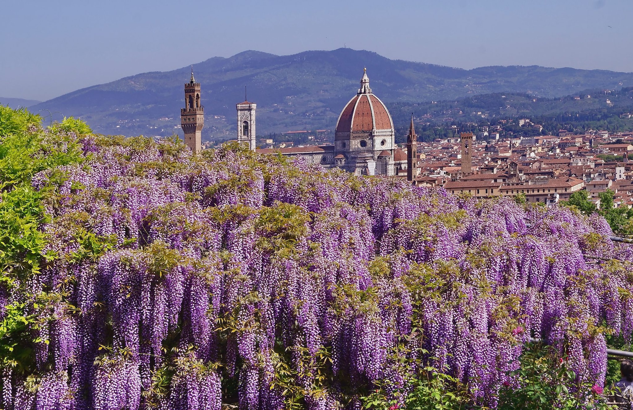 Vista di Firenze in primavera dal giardino Bardini