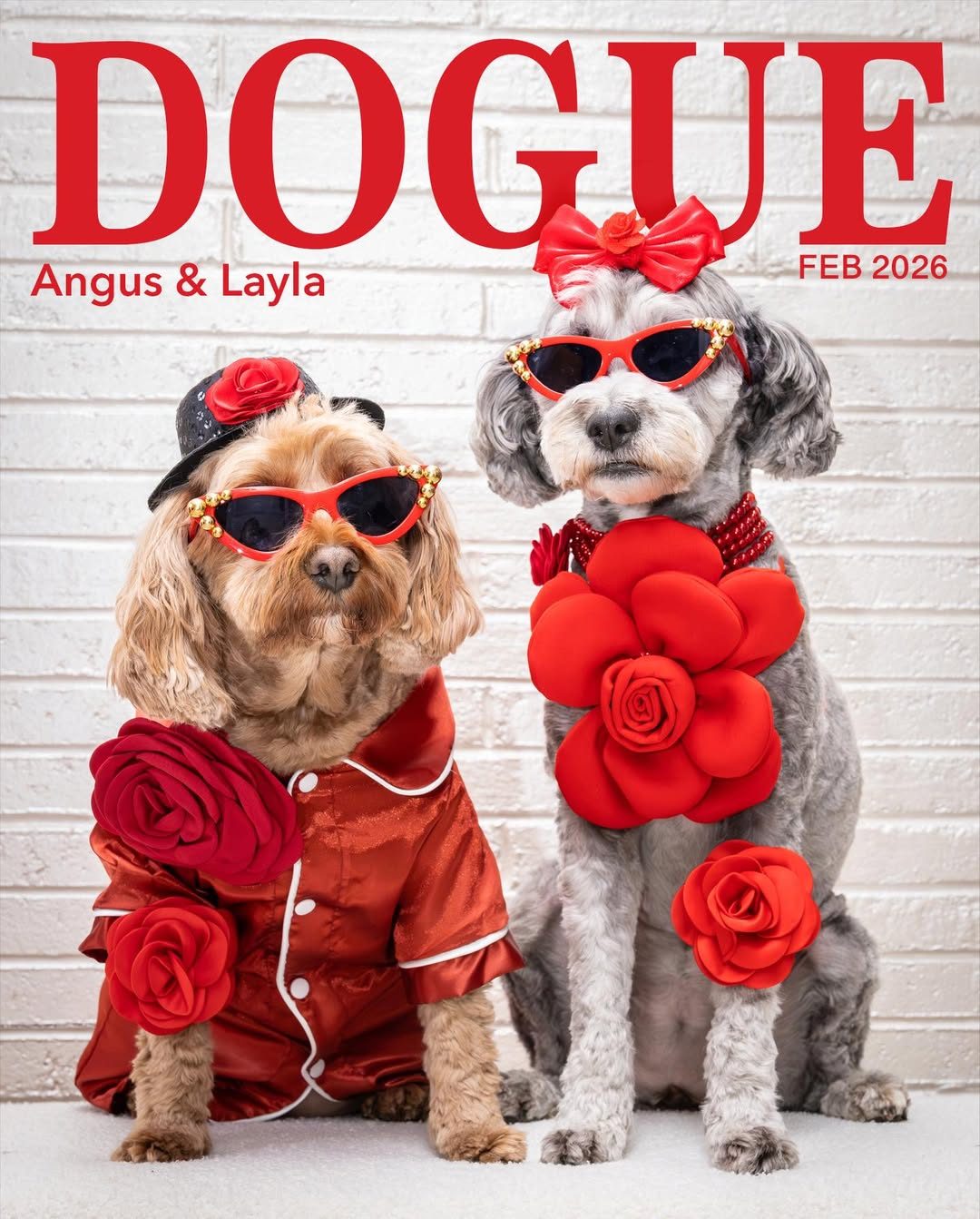 Dogue (numero di febbraio 2026)