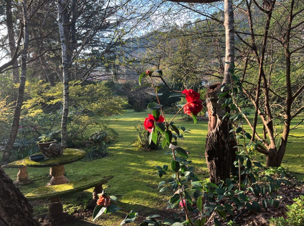 Il giardino incantato dei Lorenzetti