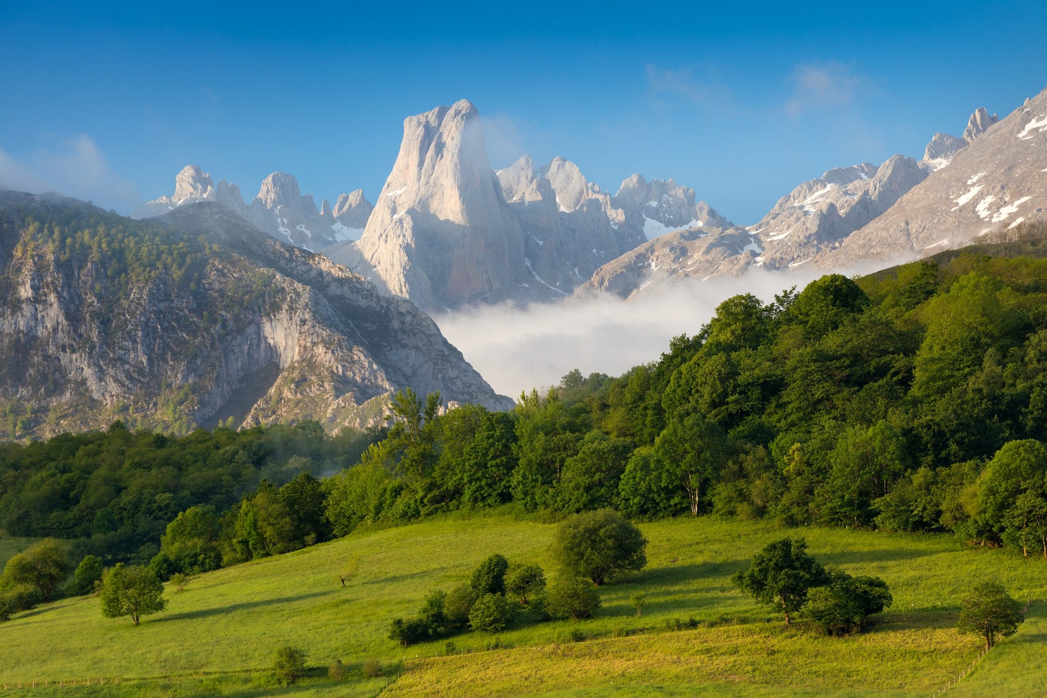 Picos de Europa