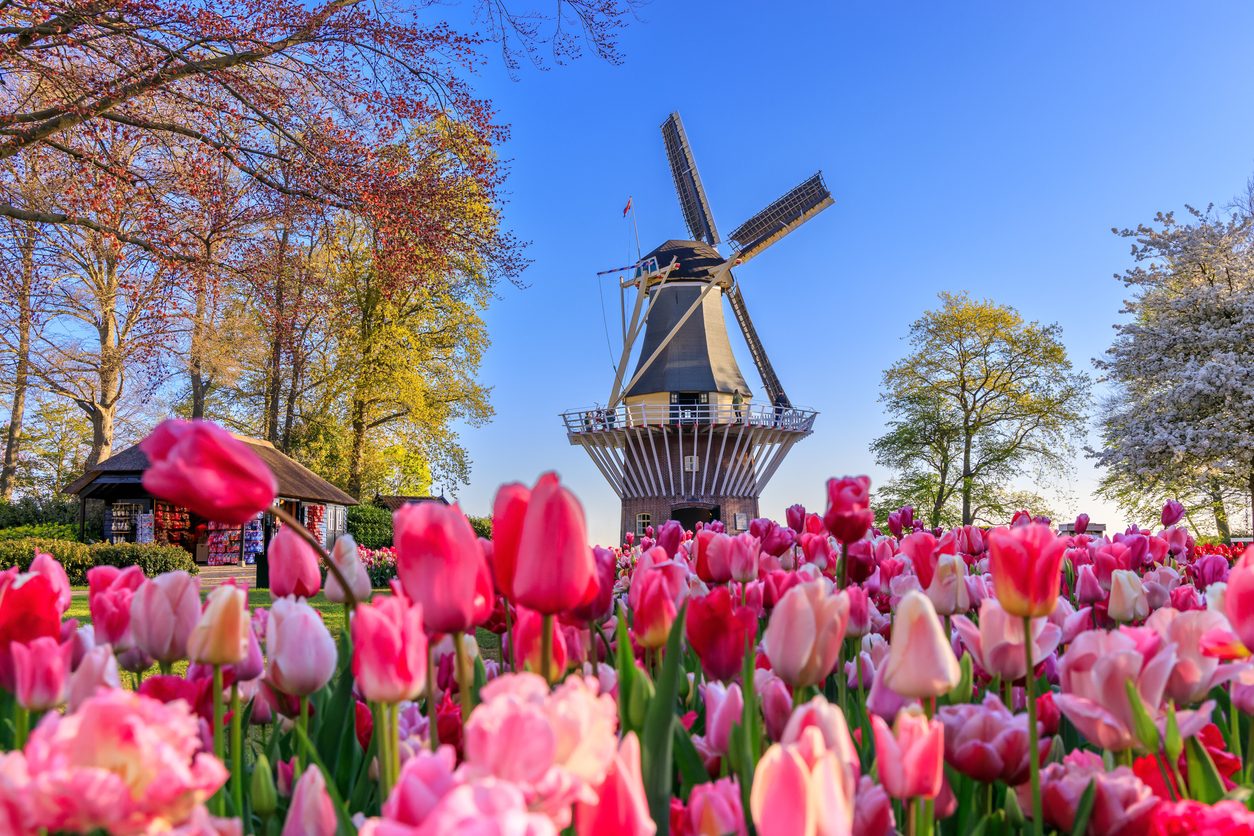 Keukenhof, Lisse, Olanda