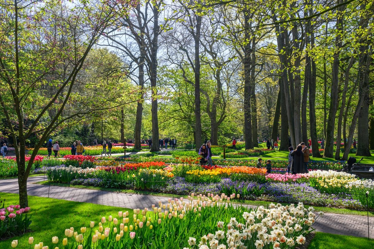 Keukenhof, Lisse, Olanda nel periodo della fioritura dei tulipani