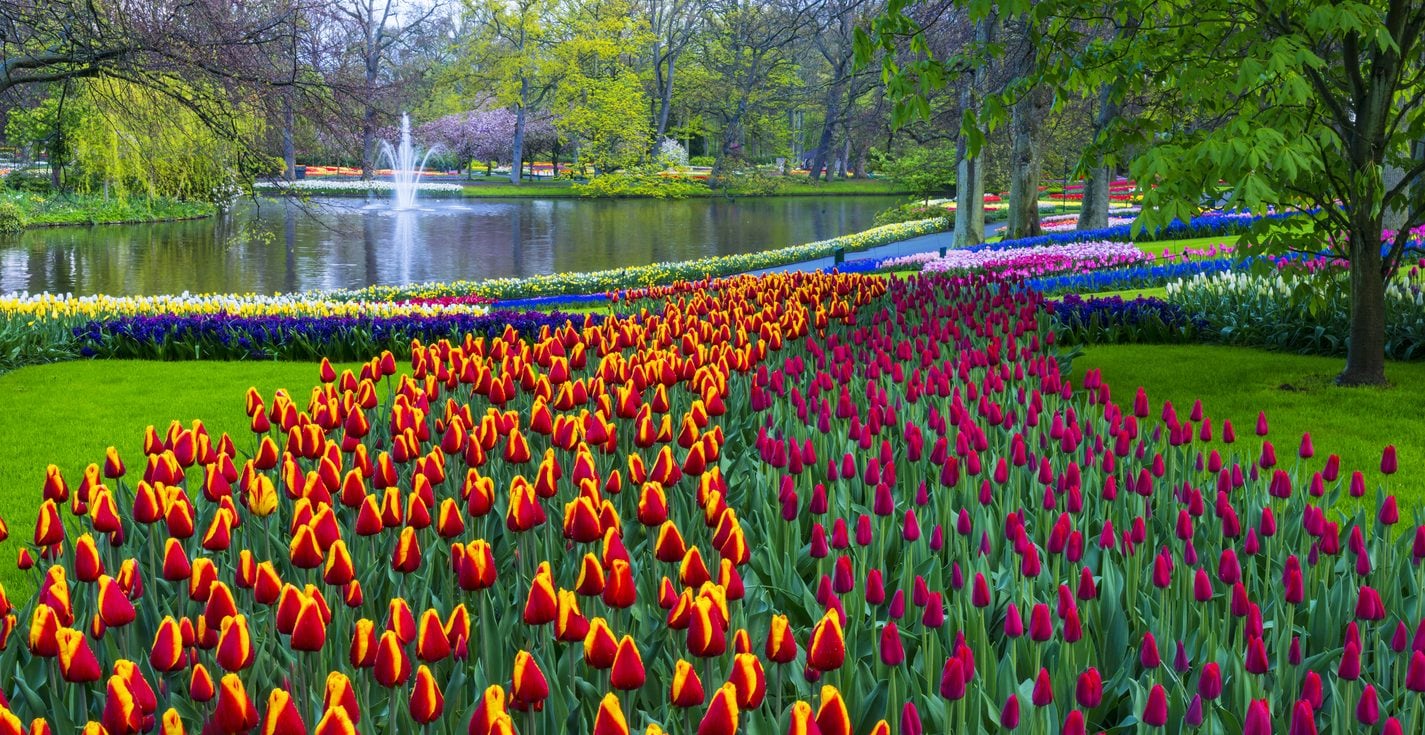 Keukenhof, Lisse, Olanda