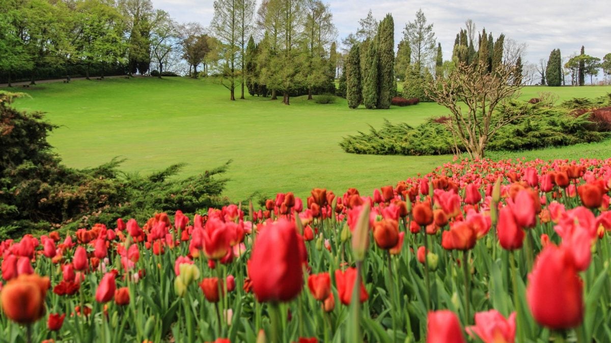 Parco Giardino Sigurtà
