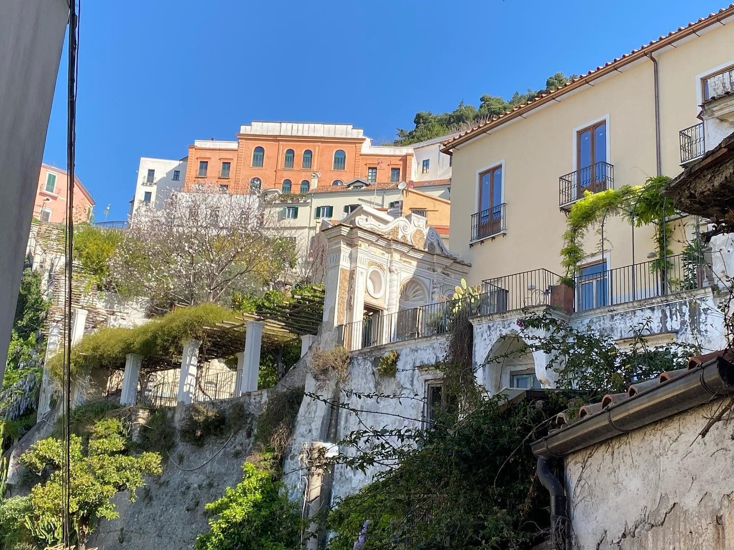 Giardino della Minerva