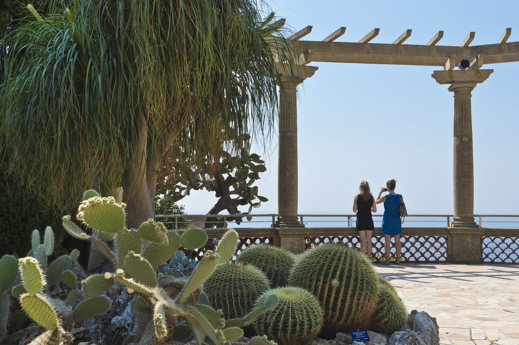 Dettaglio del Giardino Esotico di Monaco