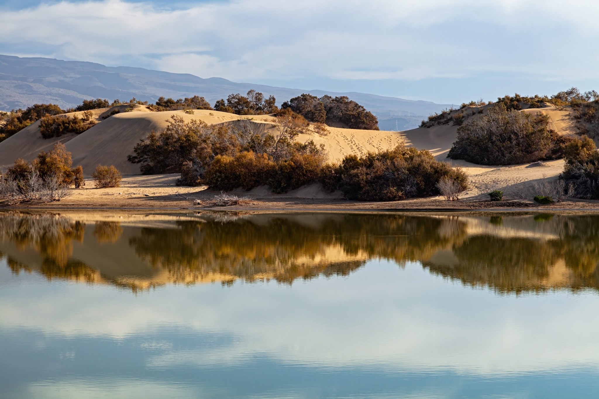 Dettaglio dune di Maspalomas