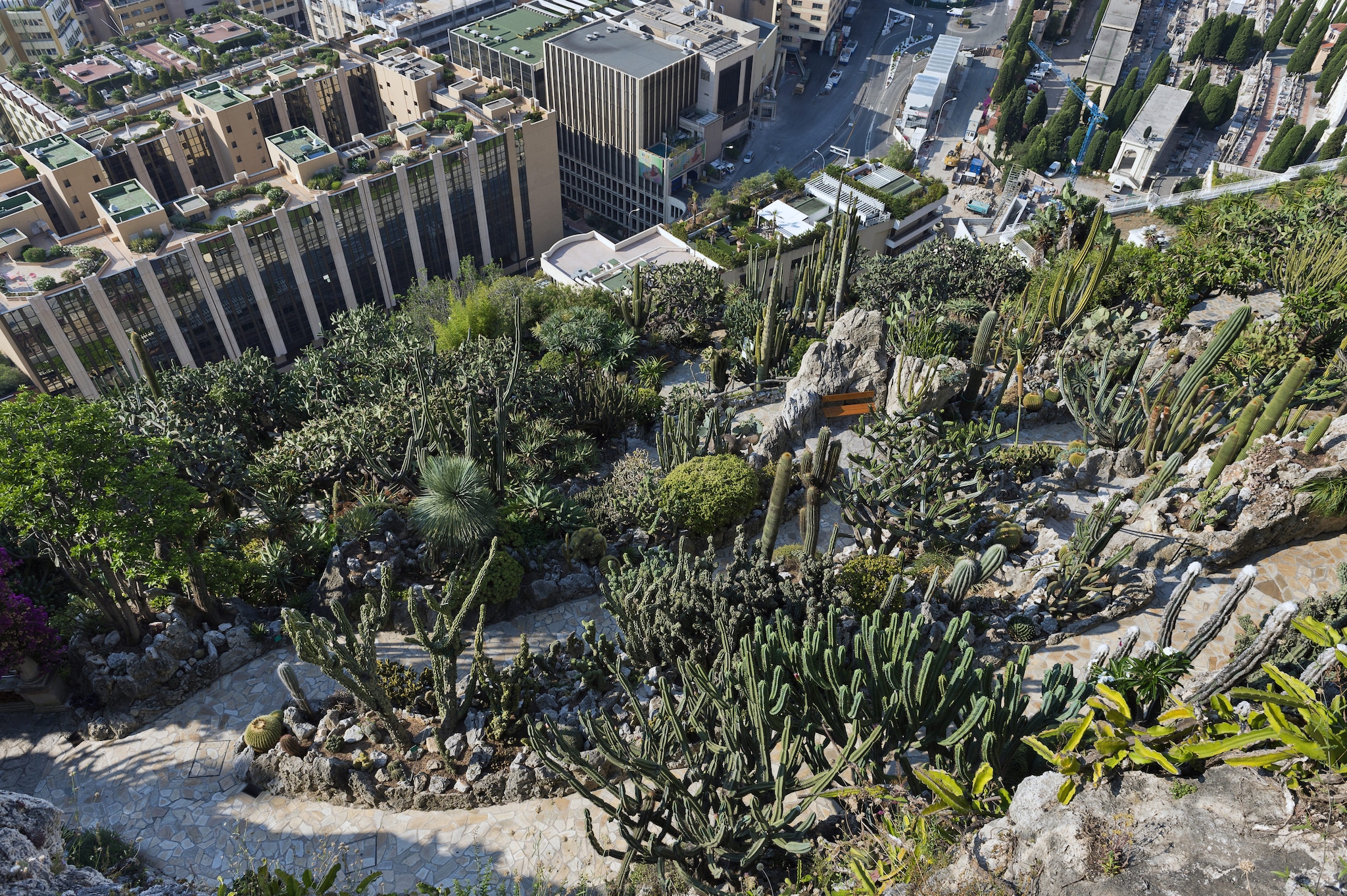 Giardino Esotico di Monaco