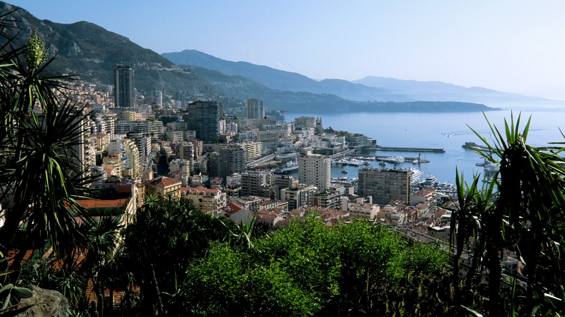 Ha riaperto dopo anni uno dei parchi più belli d'Europa: il Giardino esotico di Monaco