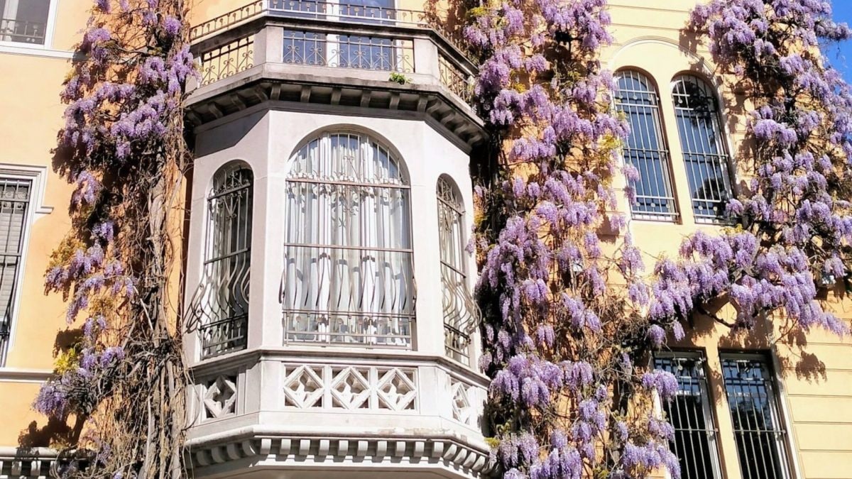 La casa del glicine, Torino