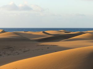 Alla scoperta di Maspalomas, la spiaggia delle dune tra le più belle al mondo