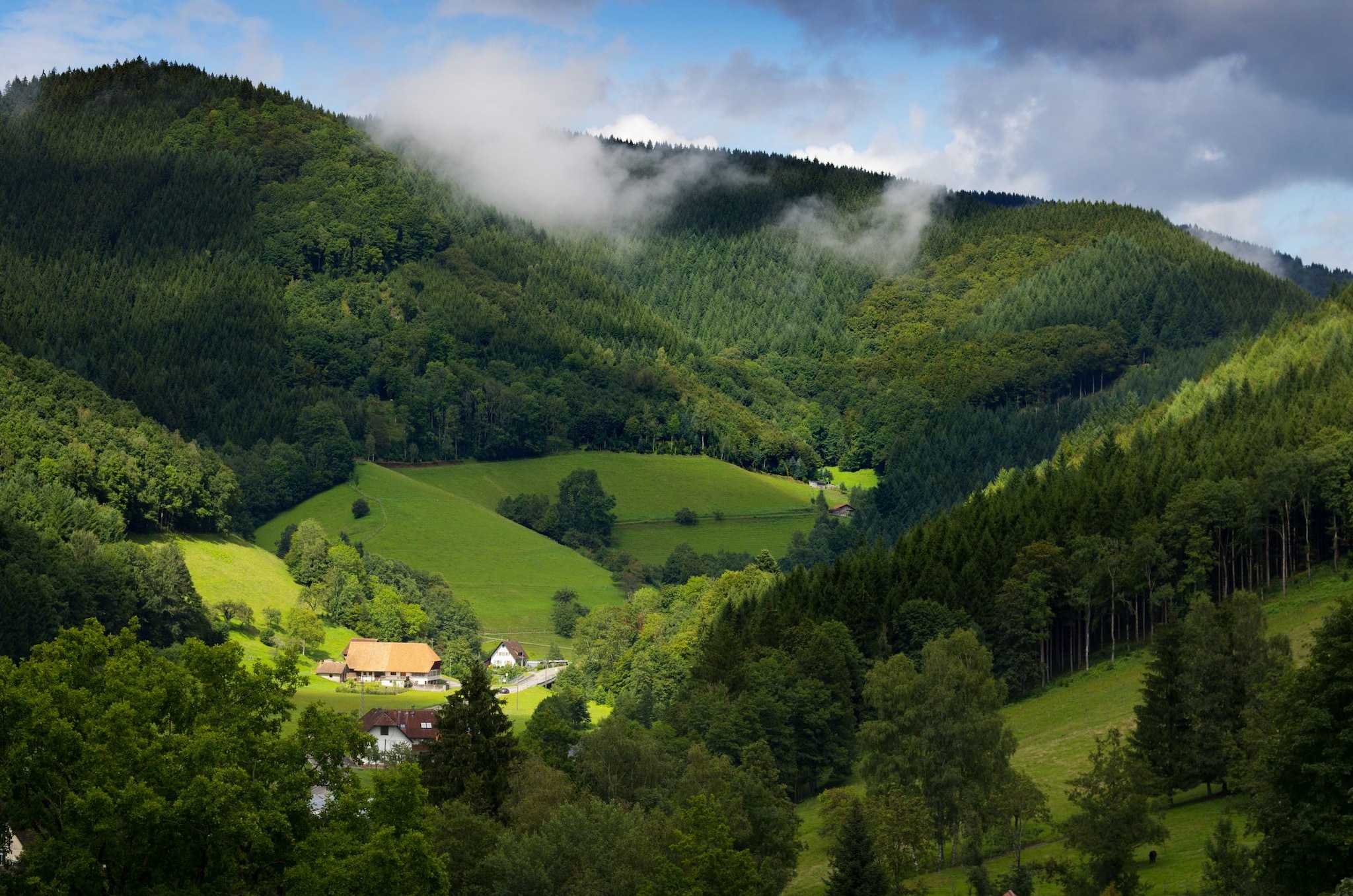 Un tratto della Foresta Nera in Germania