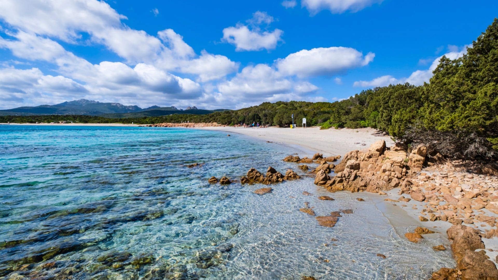 Olbia, divieto di balneazione in Costa Smeralda: qual è il litorale chiuso a turisti e bagnanti