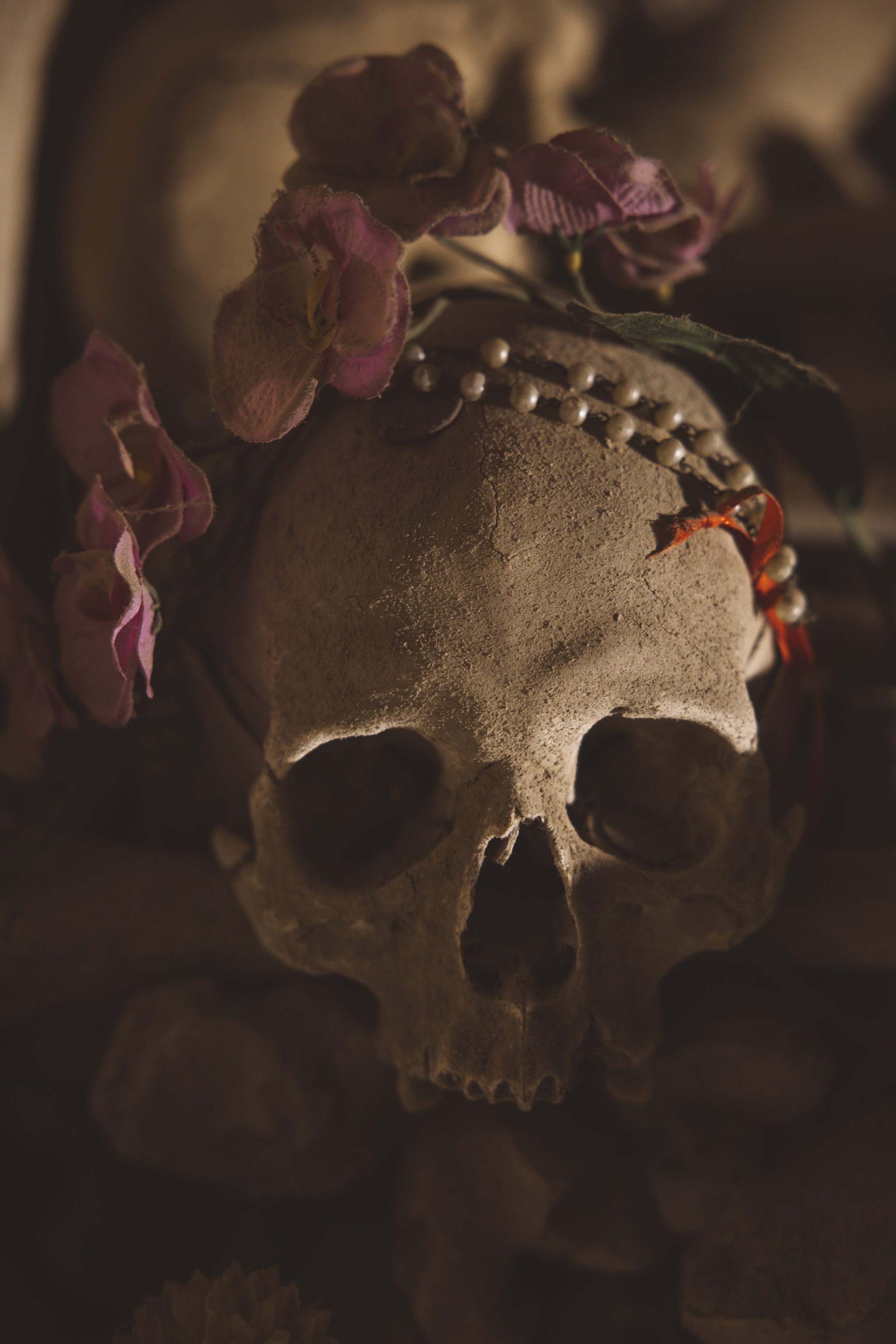 Cimitero delle Fontanelle