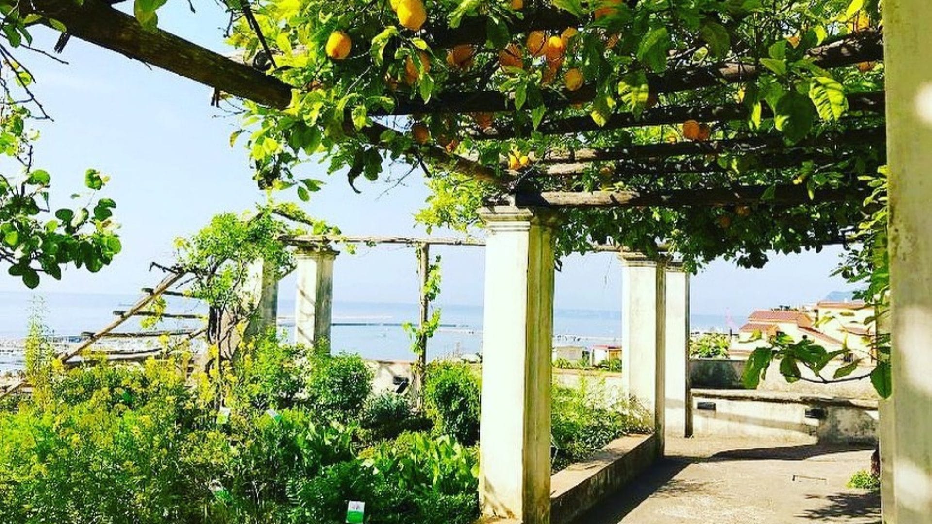 Giardino della Minerva: è italiano l'orto botanico più antico d'Europa
