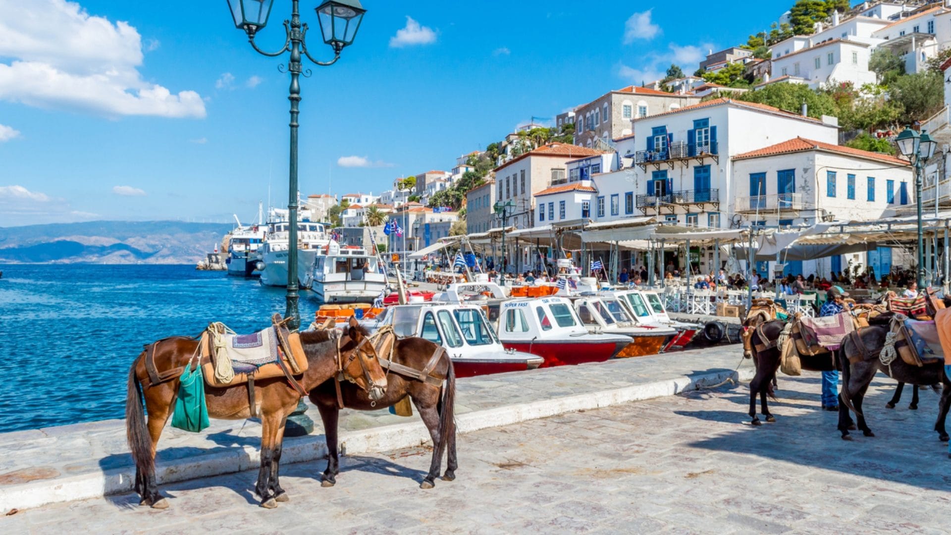 Hydra, l'isola greca che ha vietato l'uso delle auto: ci si sposa a piedi o con i muli