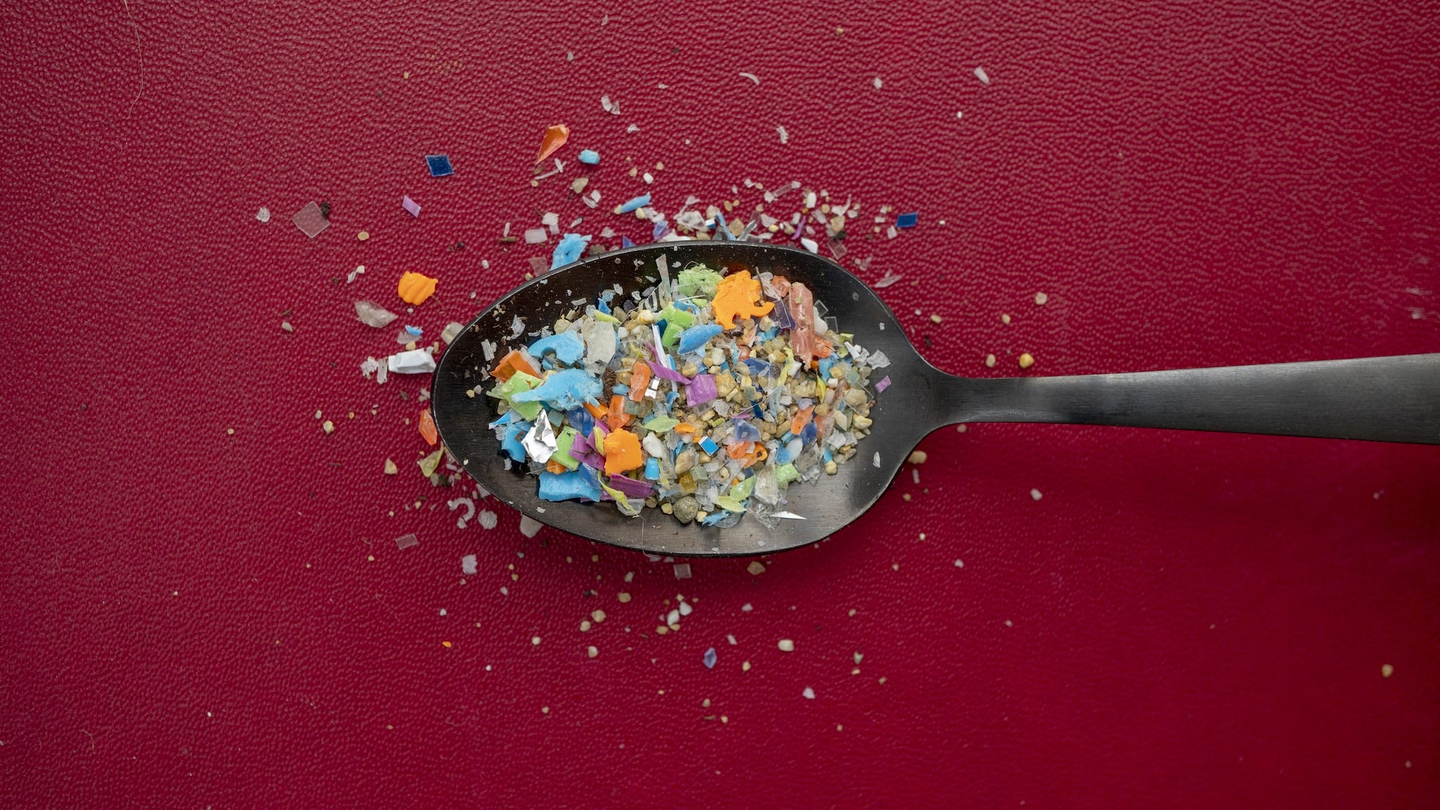 Microplastiche nel cibo, esperto in sicurezza alimentare Di Flaviano: "No pranzo in vaschetta, caffè meglio in vetro"