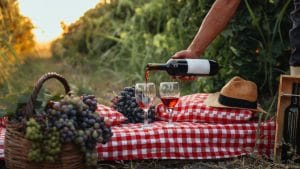 Pasquetta 2026 in vigna, gli eventi per amanti del vino che restano in città