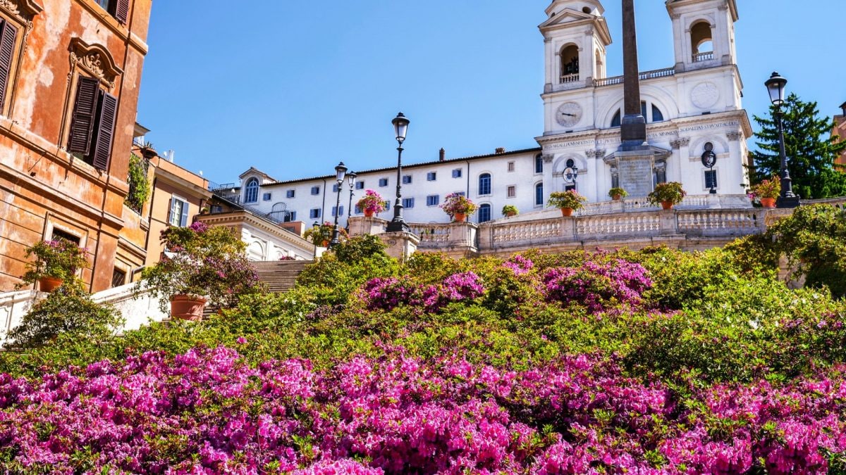 Azalee a Trinità dei Monti