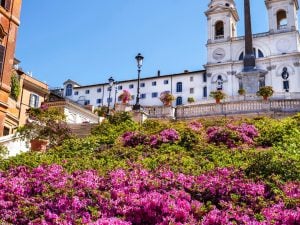 Fioriscono le azalee a Piazza di Spagna: 200 piante bianche e rosa sull’iconica scalinata di Trinità dei Monti