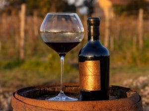 Tenuta Venissa, la cantina italiana tra le migliori al mondo: il suo vino costa oltre 2mila euro