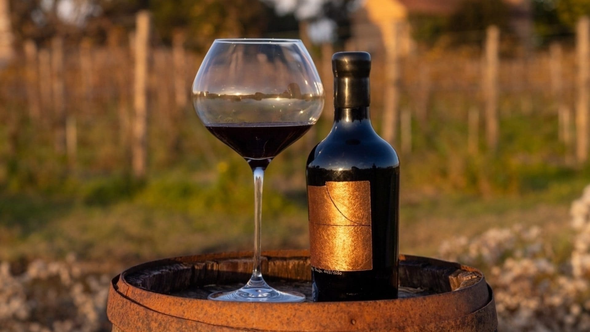 Tenuta Venissa, la cantina italiana tra le migliori al mondo: il suo vino costa oltre 2mila euro