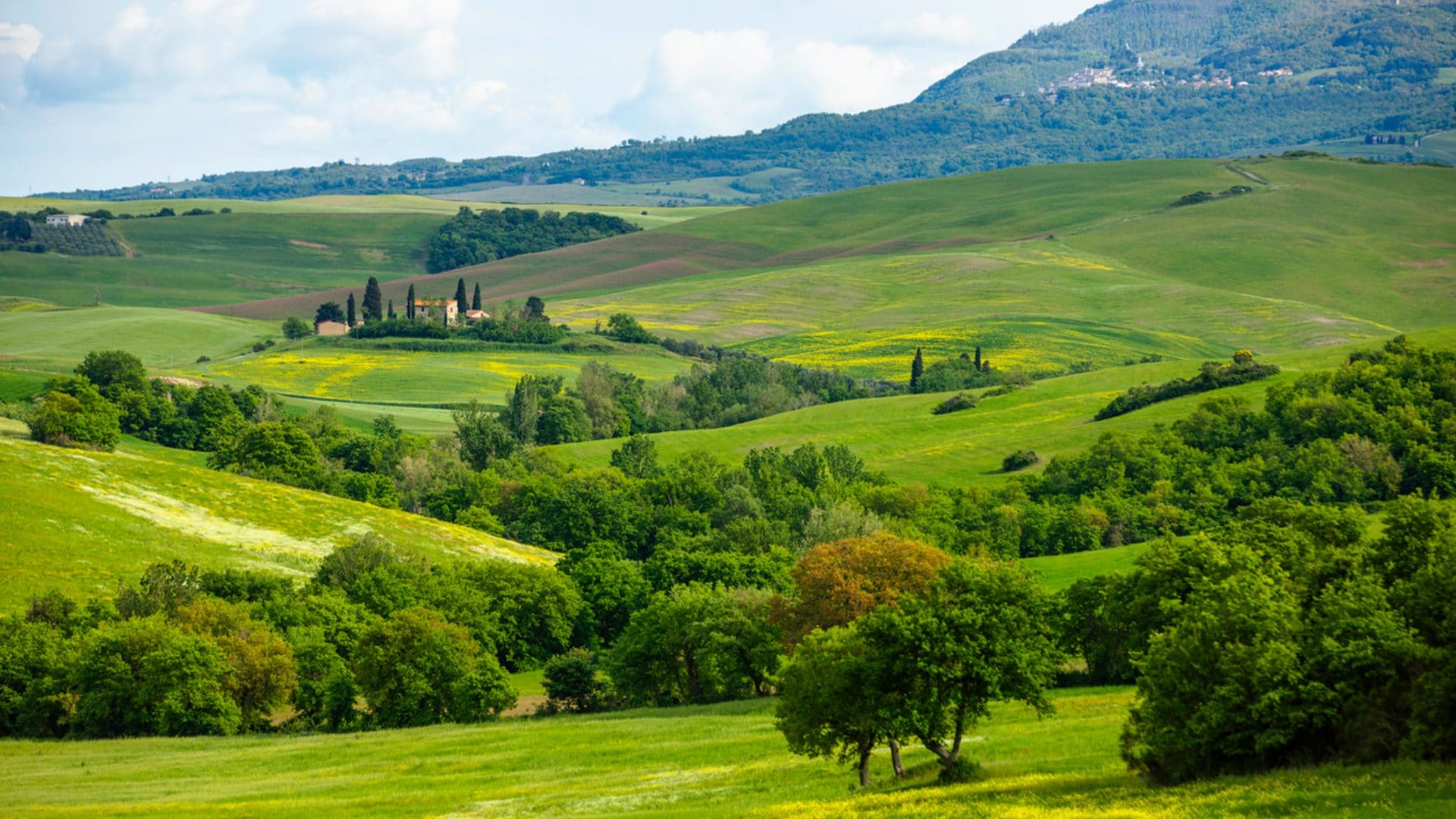 Campagna della Val d’Orcia