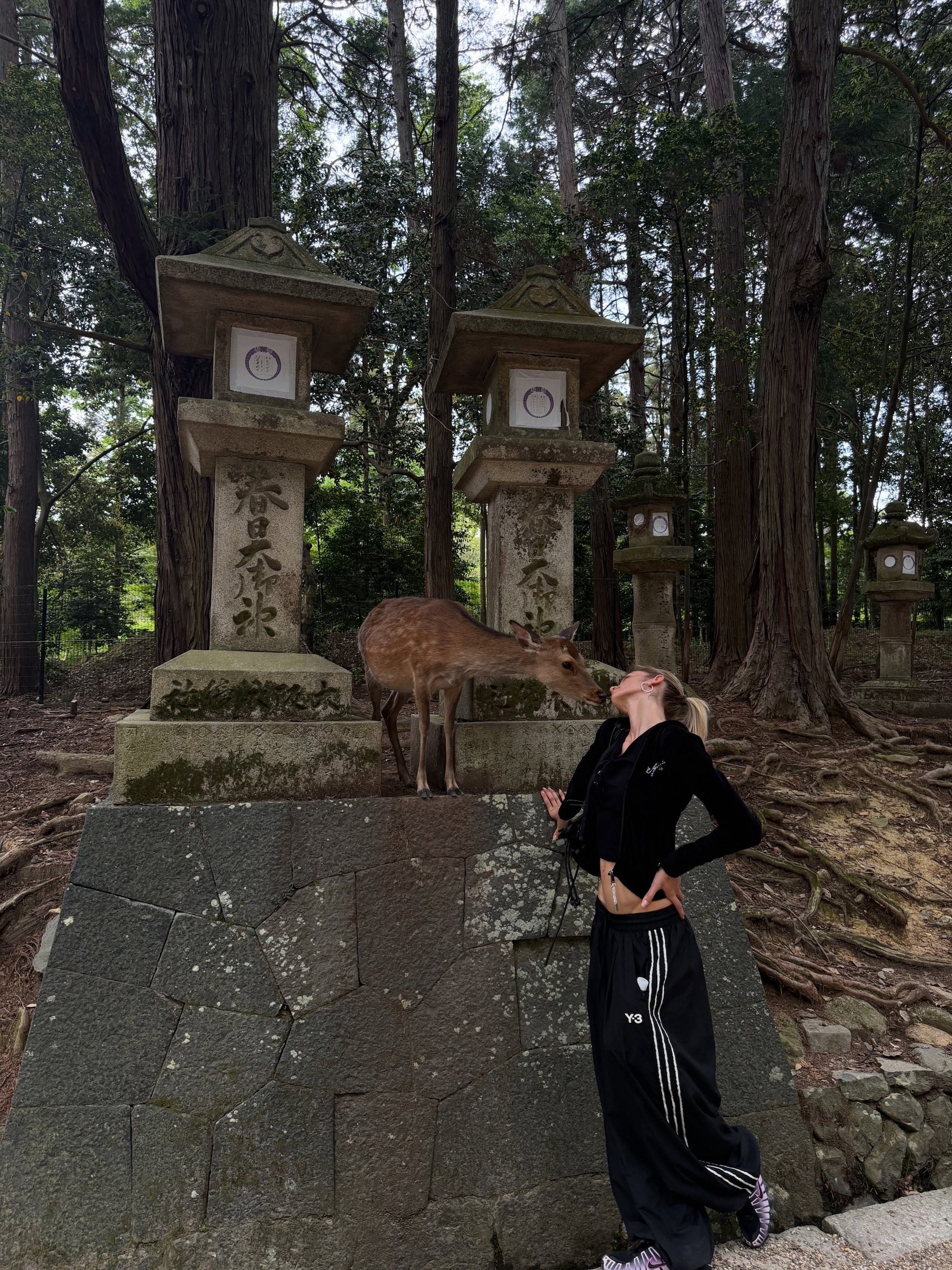 Il Parco di Nara