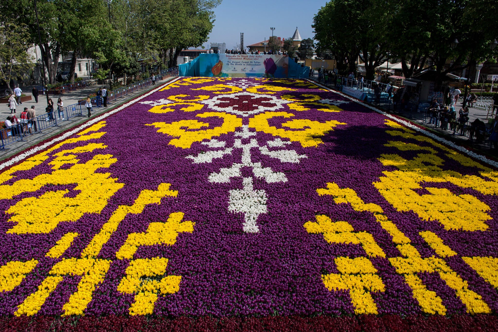 Il tappeto di tulipani più grande del mondo, Istanbul