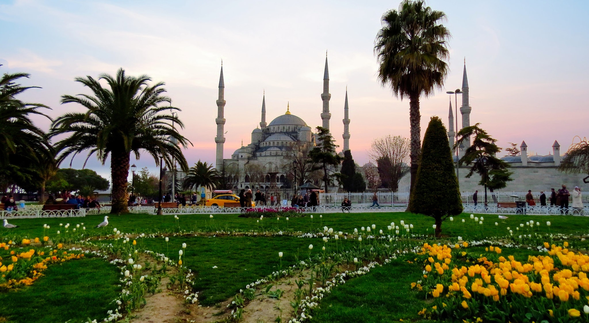 Istanbul al tramonto con i tulipani
